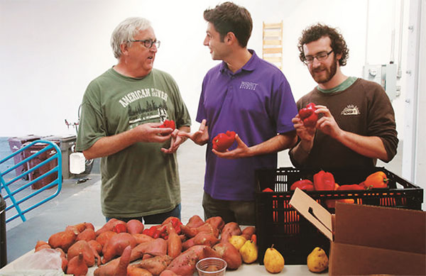 ‘못난이 과일·야채를 식탁에’ 캠페인
