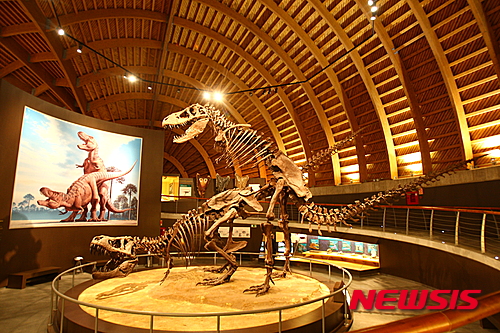 백악기 공룡도 사랑을 했다…세계최초 발견