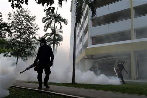 싱가포르 41명 지카 감염 ‘초긴장’…외국여행 안간 특정지역주민