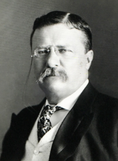 미국역사 (131)제26대 Theodore Roosevelt 대통령 (공화당: 1901-1908) ①
