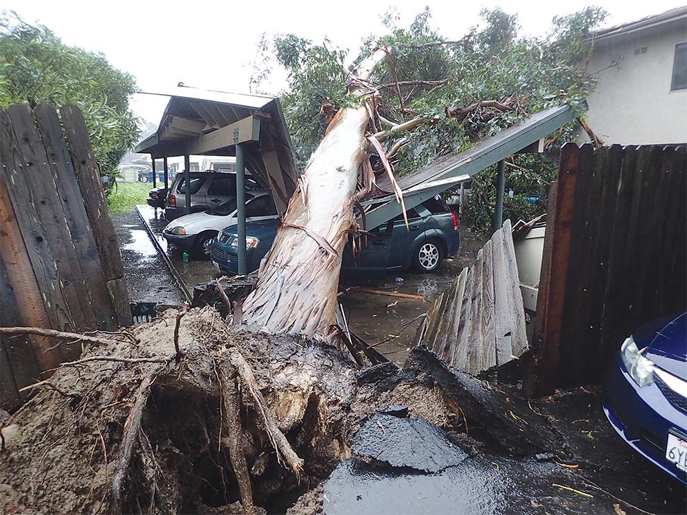 남가주 최악의 폭풍우…피해 속출