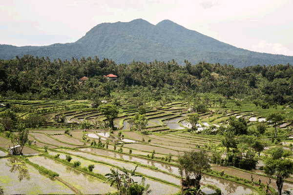 신비롭고 평화 넘치는 ‘신들의 섬‘ 인도네시아  발리（Bali）