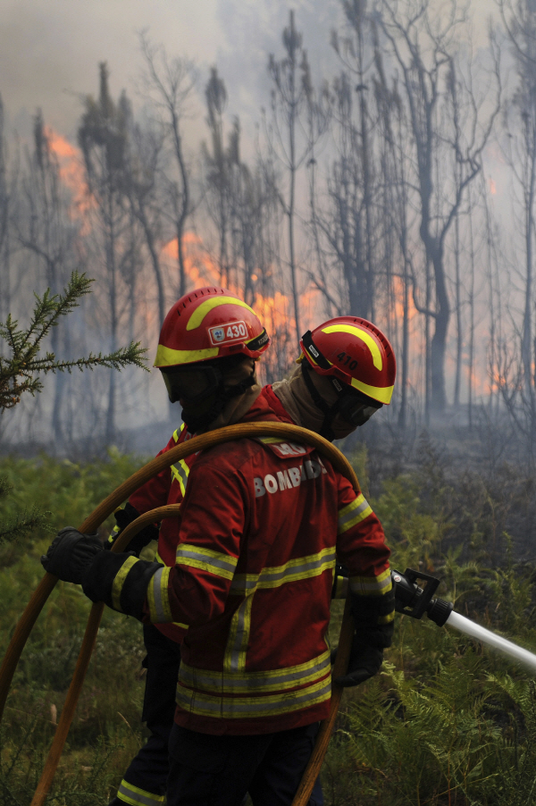 포르투갈 폭염 속 최악의 산불…최소 62명 사망