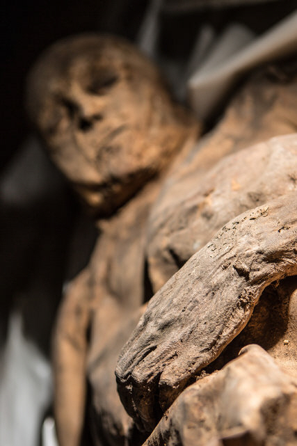 수천년 전 인간 질병의 생생한 샘플 제공…미라를 통한 의학연구의 놀라운 진전