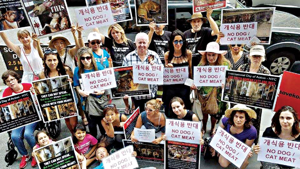 뉴욕총영사관 앞서 개고기 반대 시위