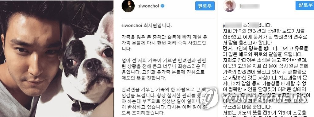 “개가 사람들 물어 교육받는다”…최시원 여동생 SNS 글 논란