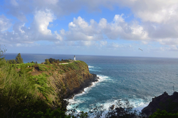 끝없는 금빛 모래사장 ‘남태평양의 지상낙원’ 하와이 카우아이（Kauai）