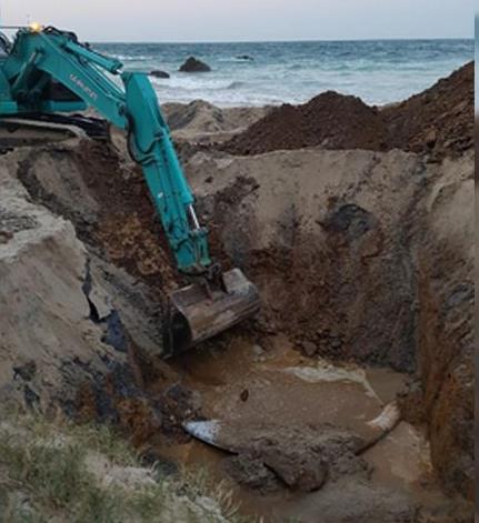 폭파도 고민했으나…호주 해변 집채만한 고래 사체 방치 결정