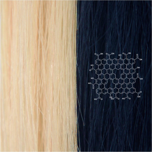 머릿결 손상없고 오래 가는 ‘그래핀 모발 염색제’ 개발