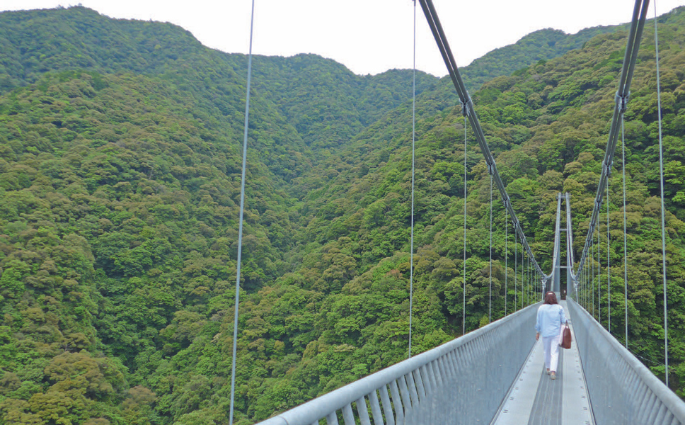 초록세상 벗삼아… 142m 하늘길 산책 (‘일본의 하와이’ 미야자키)