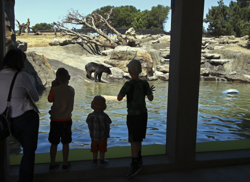 오클랜드 동물원 ‘캘리포니아 트레일’ 오픈