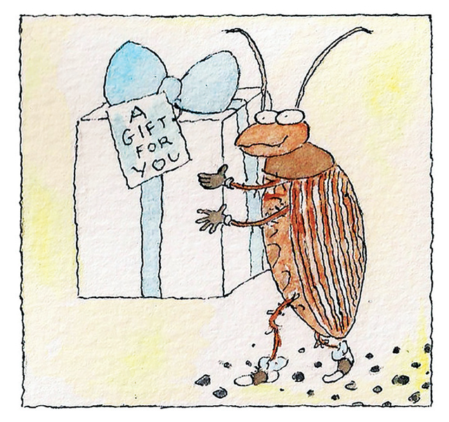 바퀴벌레, 질병 옮기는 것보다 알러지 천식 유발이 더 위험