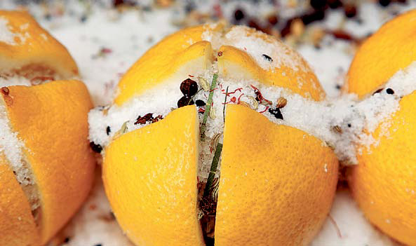 겨울의 맛 ‘절인 레몬’… 빵, 생선회에 새콤한 악센트