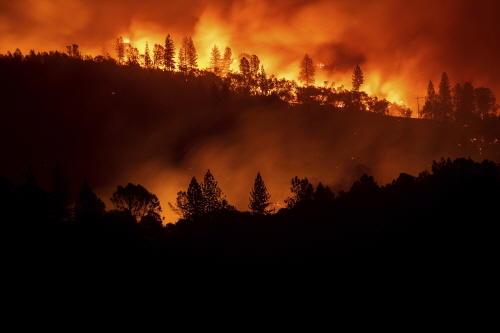 사망·실종 260여명...최악의 산불대란