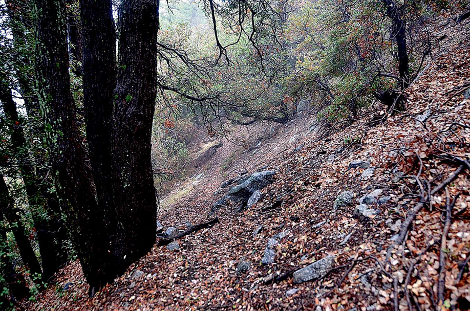Oak 숲·바위… 심산유곡 즐기는데 2시간이면 충분