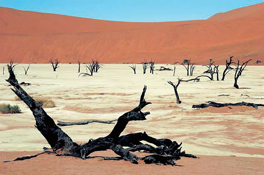 꽃청춘 눈물 짓게 한 붉은 사막… 그 먹먹한 풍경