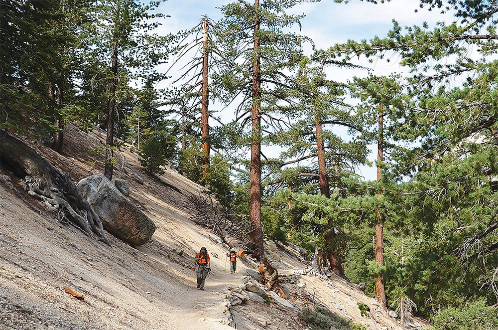 소나무숲 지나 기암절벽 위에서 ‘청량한 피서’…Mt. San Jacinto·Humber Park Route