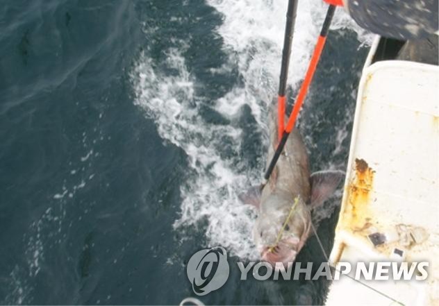 美, 한국 ‘예비 불법 어업국’ 지정…남극 불법 어업이 발단
