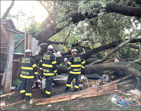 폭풍우에 나무 쓰러져 19명 부상