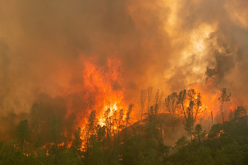 폭염 시달리던 캘리포니아, 대형 산불마저 덮쳤다