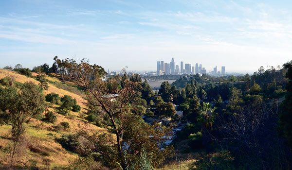 고층빌딩 너머로…LA 도심 속 푸르른 낙원