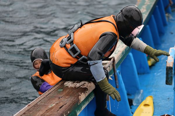 대를 이어 극한 직업 ‘물질’… 바다의 농사꾼