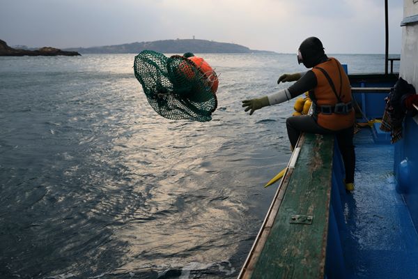 대를 이어 극한 직업 ‘물질’… 바다의 농사꾼