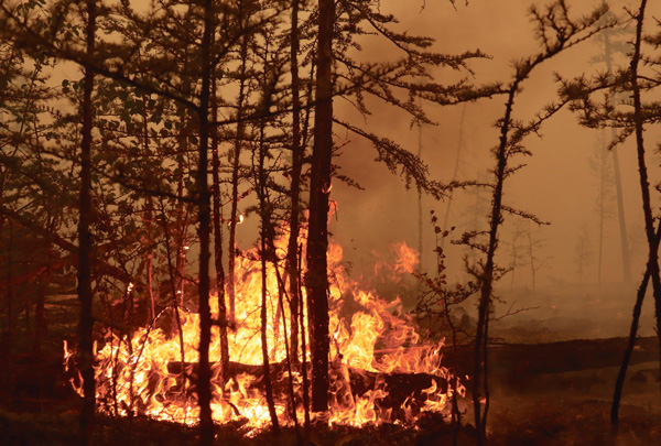 기후변화에 불타는 시베리아, 지구 숨통 조여온다