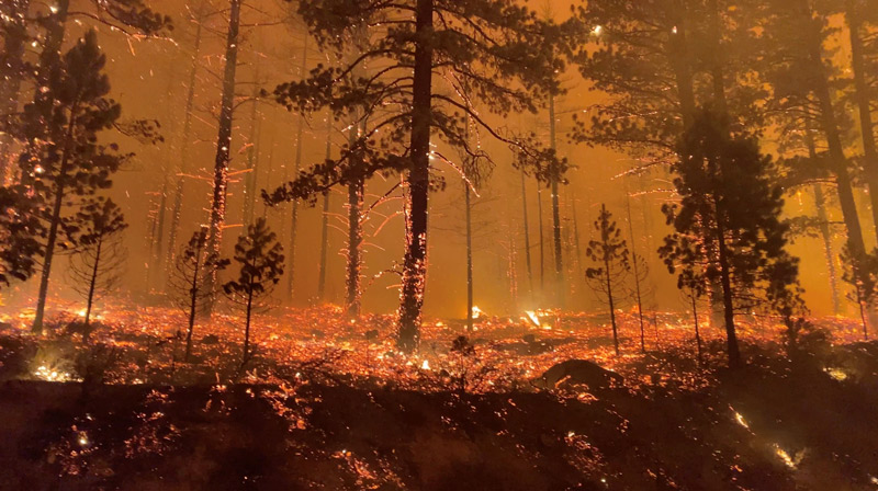 서부 산불 위험에 최소 150억달러 들여 1만6천㎞ 전선 매설