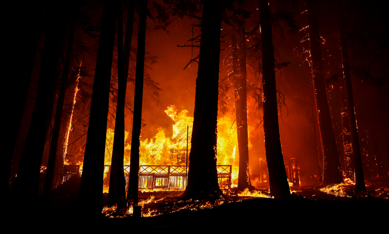 “하루에 불길 4㎞ 이동”… 캘리포니아 산불에 또 대피령