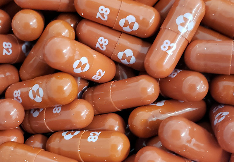파우치 “FDA, 코로나19 먹는 치료제 가능한 한 빨리 심사”