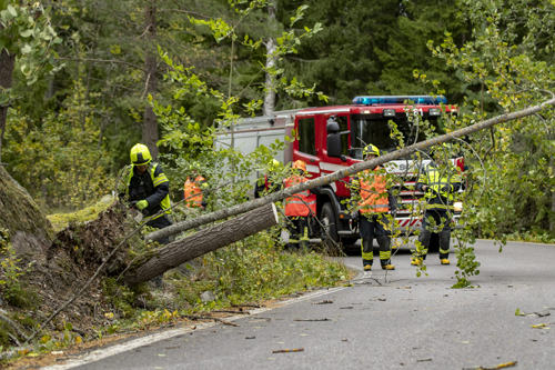 시애틀 가을 폭풍 강타 피해속출...나무 차량 덮쳐 2명 사망, 15만가구 정전