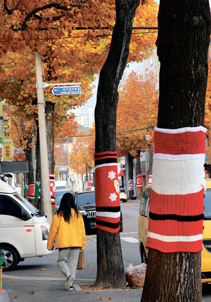 한국은 겨울 문턱… 뜨개옷 입은 가로수