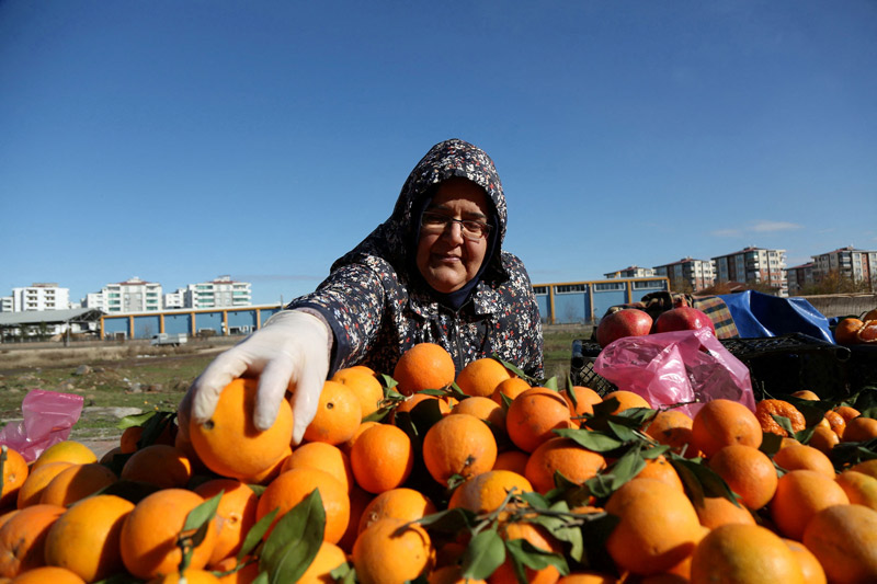“오렌지 수확량 76년만에 최소 전망”…주스 가격 급등