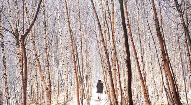 [자박자박 소웁탐방] 꿈 캐는 마지막 광부… 탄광촌 새살로 자란 겨울나무