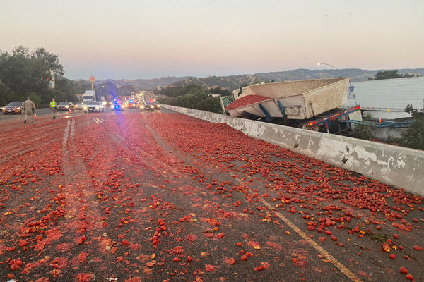고속도로에 토마토 15만개 ‘와르르’