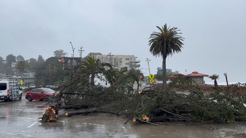 캘리포니아 폭풍우 최소 17명 사망해