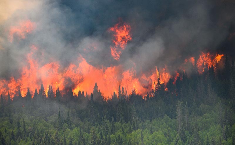 ‘통제불능’ 캐나다 산불 260여건…한정된 자원과 지형 탓