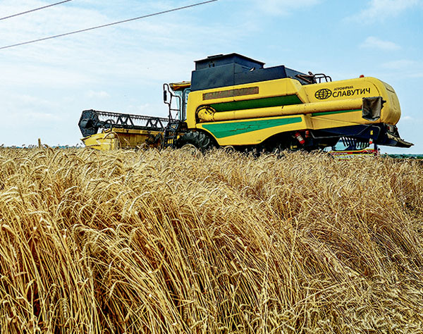 1년 만에 종말 맞은 흑해곡물협정…‘글로벌 식량 위기’