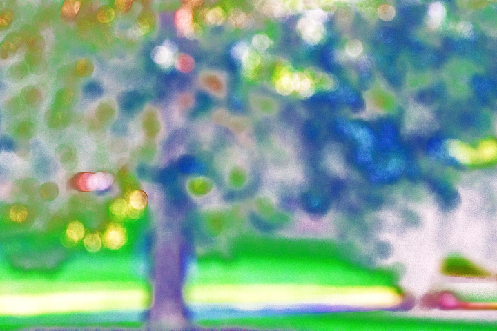 지상 갤러리 - 꿈꾸는 나무 1
