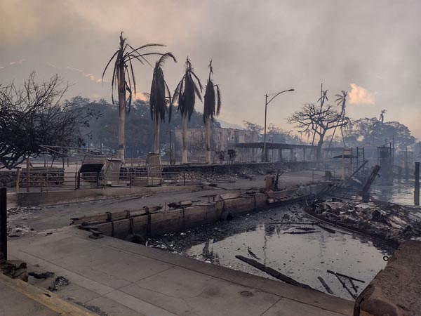‘수천명 대피’ 하와이 마우이섬 산불 사망자 36명으로 늘어
