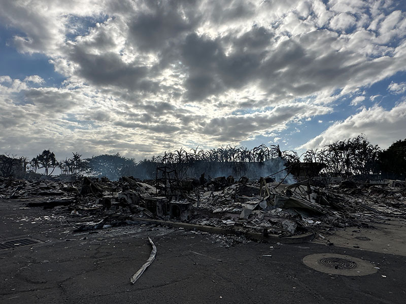 하와이 산불 사망자 67명으로 늘어… “63년만 최악 자연재해”