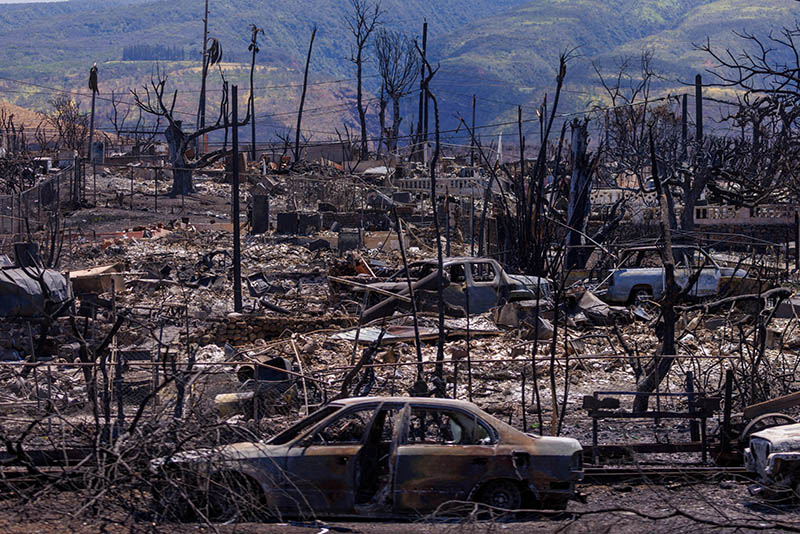 하와이 산불 사망자 114명으로 증가…실종자 “1천100∼1천300명”