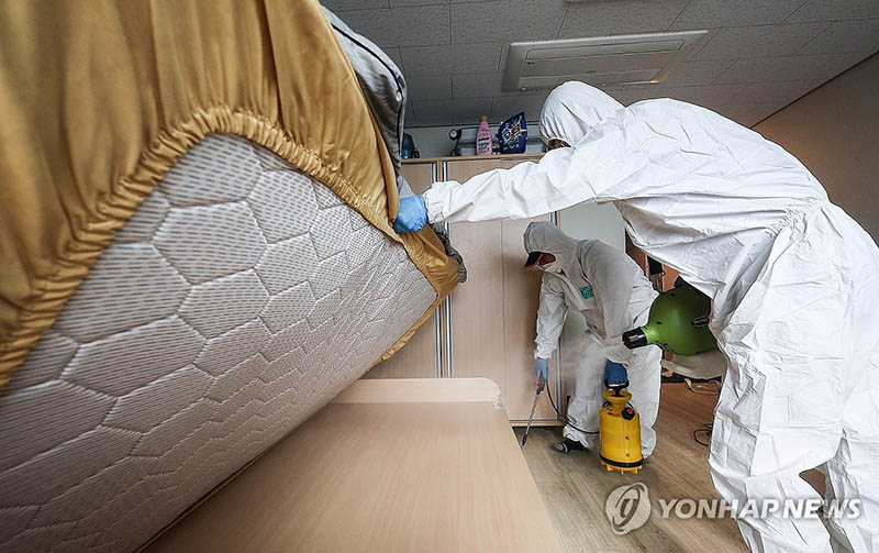인구 밀집 서울서 퍼지는 빈대… ‘피해 커질라’ 방제 비상