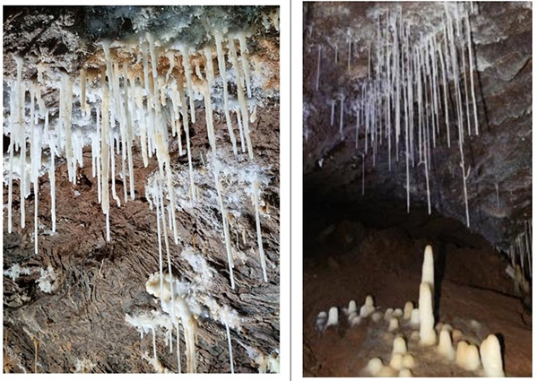 터널공사 중 발견된 강원도 영월 분덕재 동굴, 천연기념물 된다