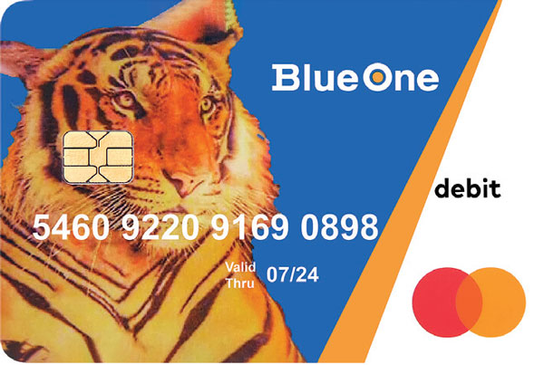 [블루원 카드(BlueOne Card)] “소셜번호 없어도 편리하게 신청 가능”
