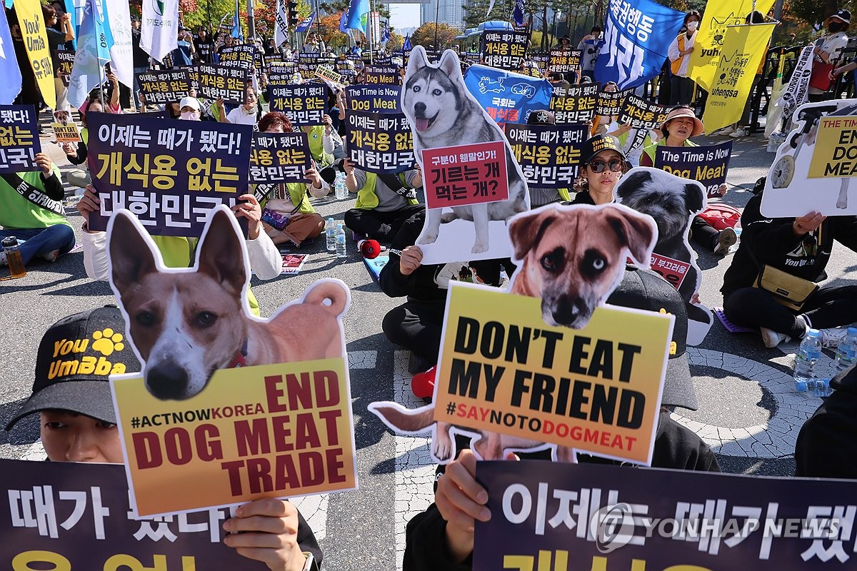 韓 ‘개식용금지법’ 국회 통과…식용 목적 도살·사육 모두 징역형
