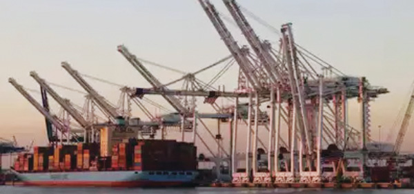 미 항구서 중국산 크레인 걷어낸다