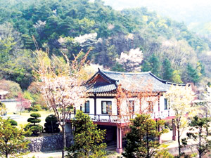 자녀와 함께 가볼만한 한국 성지·박물관