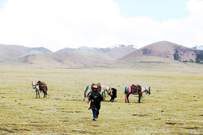 하늘길 1 만리… 티베트 넘어 히말라야로 <3>